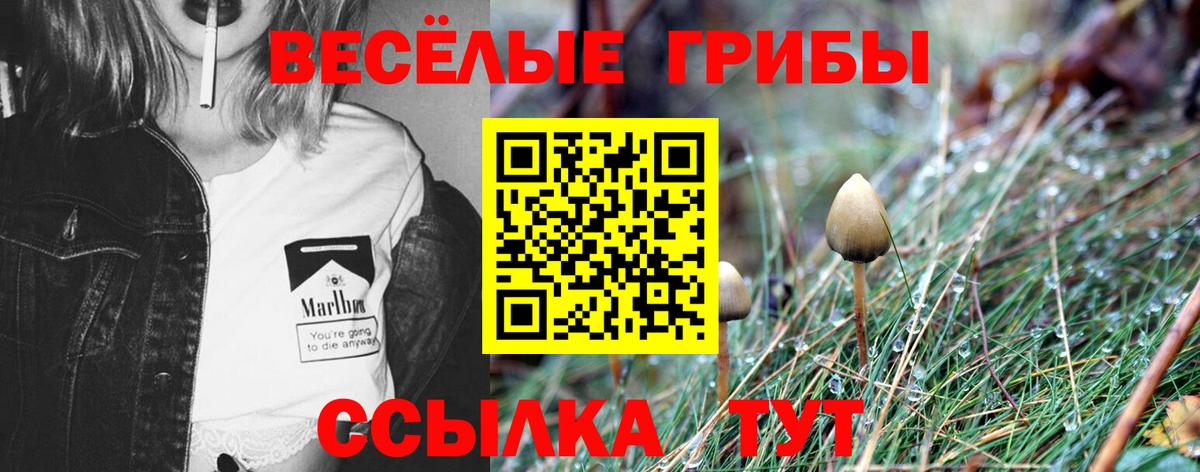 Ступино  Псилоцибиновые грибы ЛСД  Вход с VPN  Псилоцибиновые грибы GOLDEN TEACHER 
