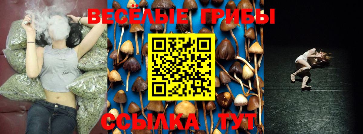 Псилоцибиновые грибы Cubensis Ступино